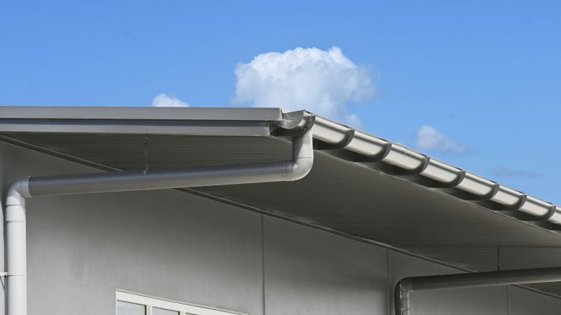 Eavestrough Clearing