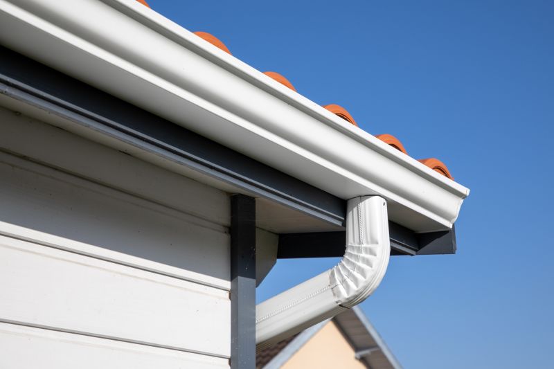 Eavestrough Clearing
