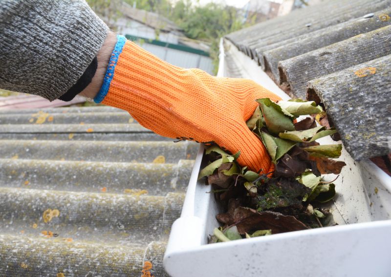 Roof Gutter Cleaning in Richmond, VA